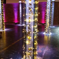 Wedding Fairy Light Drops