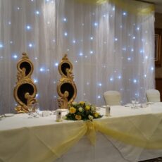 Wedding Star Curtain Backdrop